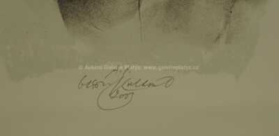  / Souzvuk / Oldřich Kulhánek