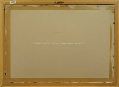  / Postavy / Jiří Načeradský