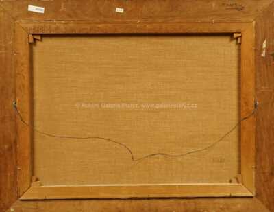  / Lesní potok / Laszlo Neogrady