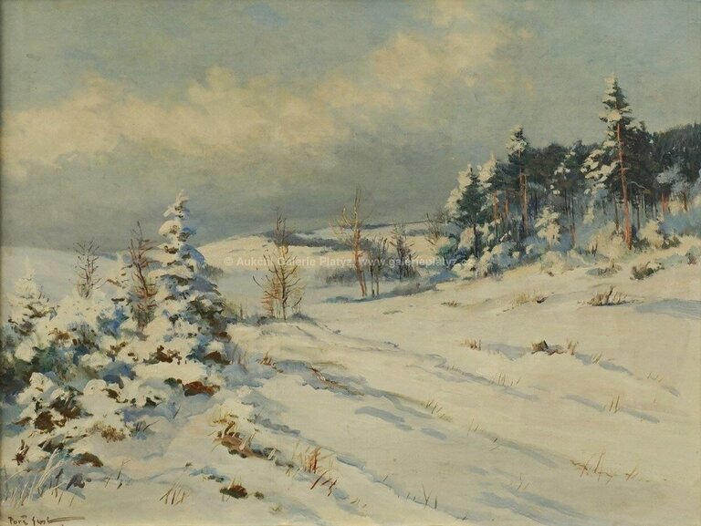  / Zimní Vysočina / Gustav  Porš