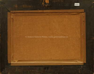  / Luční potok / František Daněk - Sedláček