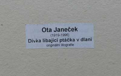  / Dívka držící ptáčka v dlani / Ota Janeček