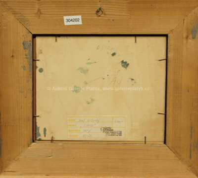  / Ostrov / Josef Velčovský