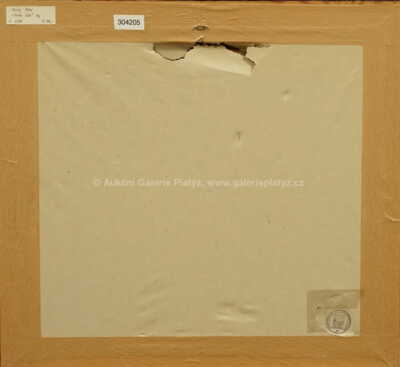  / Touha létat / Pavel Pardy