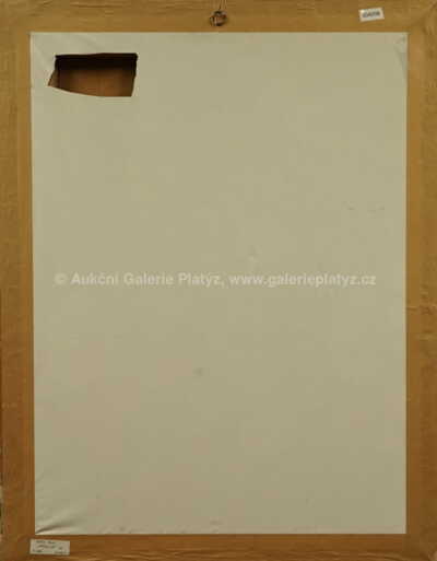  / Utržený sen / Pavel Pardy