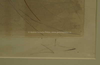  / Píseň písní / Salvador Dalí