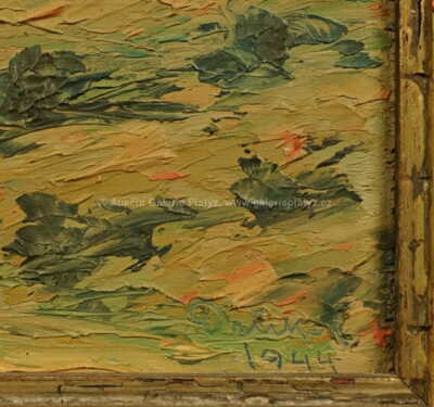  / Kopcovitá krajina / František Drtikol