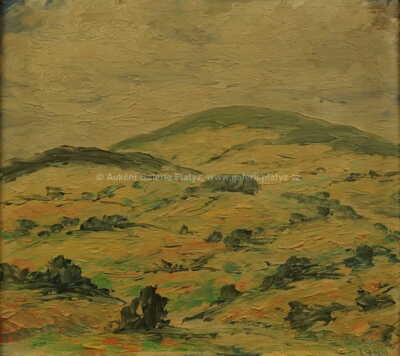  / Kopcovitá krajina / František Drtikol