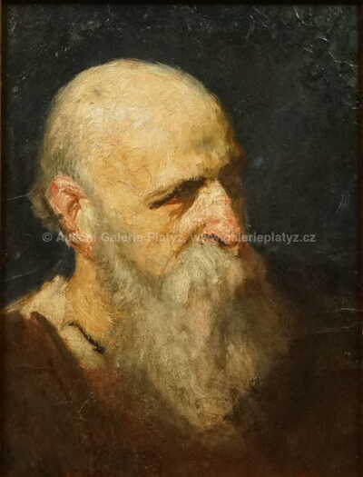  / Portrét muže /   Autor neurčen