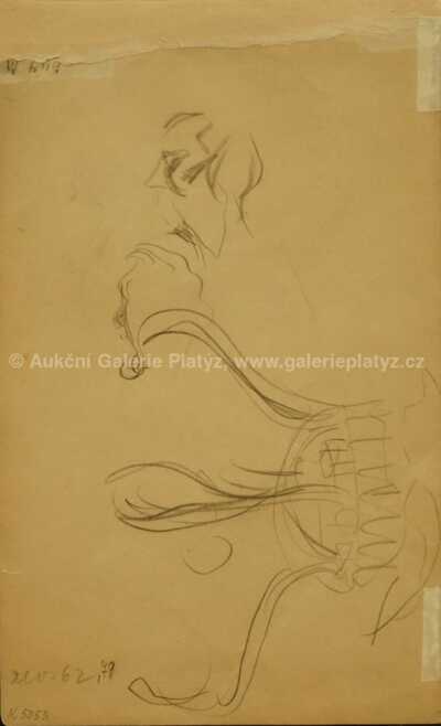  / Skica / František Kupka