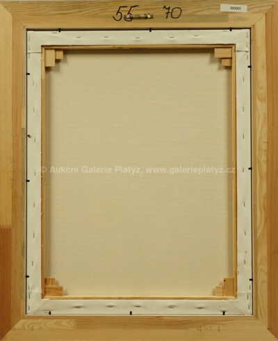  / Budoucnost EU / František Ringo Čech