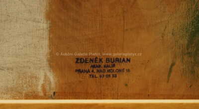  / Květinové zátiší / Zdeněk Burian