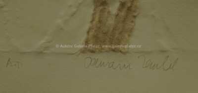  / Astronomie / Olbram Zoubek