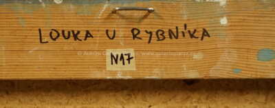  / Louka u rybníka / Oldřich Smutný