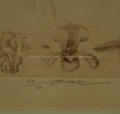  / Bez názvu / Jiří Anderle