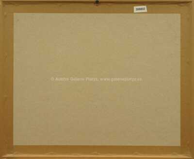  / Z cyklu Střelnice / Marie Čermínová - Toyen