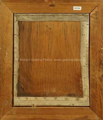  / Pohled na Pražský hrad / Jan Slavíček