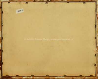  / Les / Karel Boháček