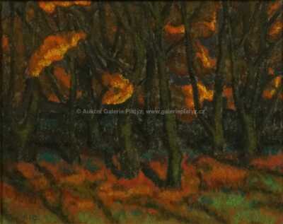  / Les / Karel Boháček