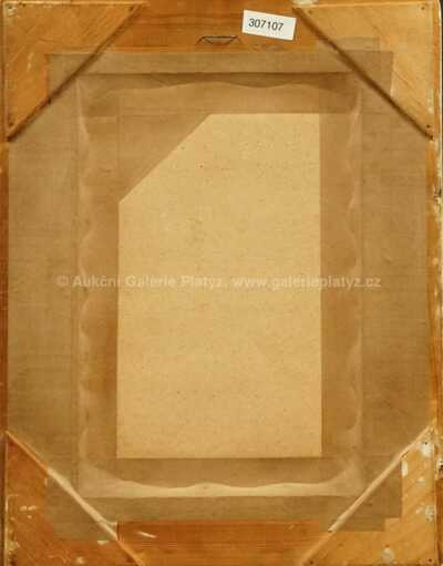  / Malíř / Zdeněk Rykr