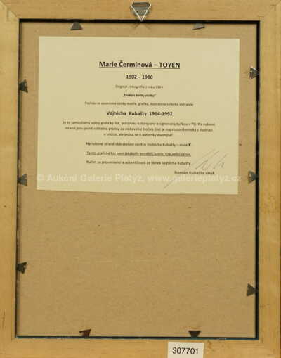  / Dívka s květy violky / Marie Čermínová - Toyen