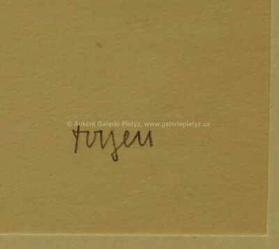  / Dívka s květy violky / Marie Čermínová - Toyen