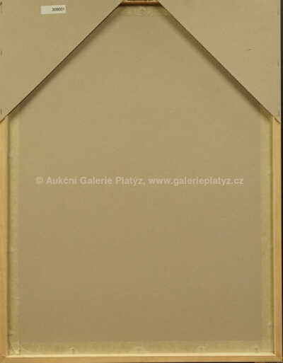  / Koncert / Emma Srncová