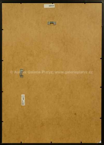  / Komiks I. / Kája Saudek