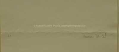  / Oblak / Olbram Zoubek