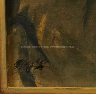  / Mnich / František  Tichý