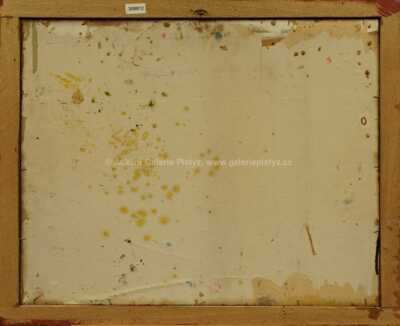  / Dívčí akt / Karel Souček (Bor)