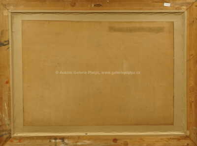  / Kozí ulice v zimě / Stanislav Feikl