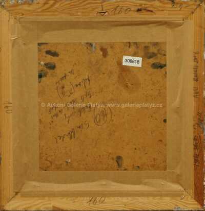  / Muž v křesle / Míla Doleželová