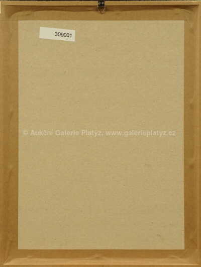  / Grafika pro Galerii Povolovsky / František Kupka