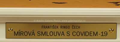  / Mírová smlouva s Covidem - 19 / František Ringo Čech