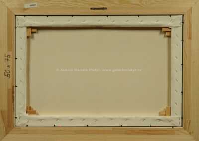  / Mírová smlouva s Covidem - 19 / František Ringo Čech