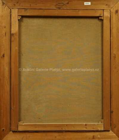  / Zimní jinovatka / Gustav  Porš