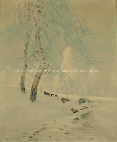  / Zimní jinovatka / Gustav  Porš