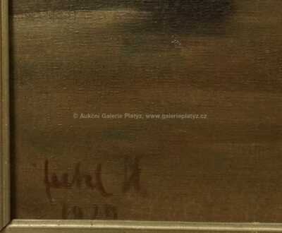  / Karlův most / Stanislav Feikl