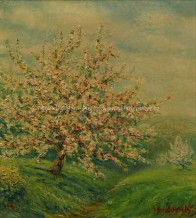  / Rozkvetlý strom / Bohumír Dvorský