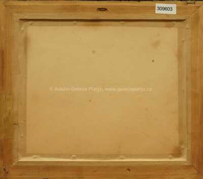  / Roubenky / Josef Ullmann