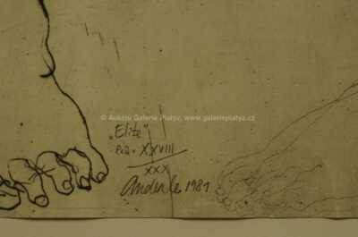  / Elita / Jiří Anderle