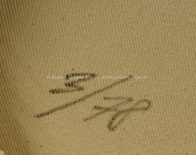  / Mini Originál / Jan Kaláb