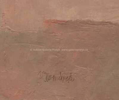  / Pocta Kubínovi / Vladimír Komárek