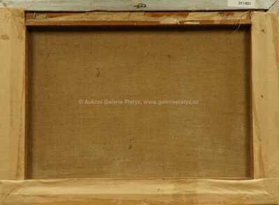  / Pod Malou Skálou / Josef Jíra