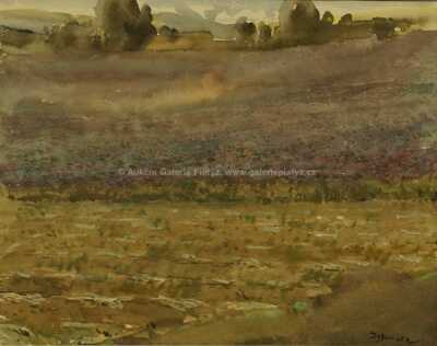  / Rozkvetlá louka / Zdeněk Burian