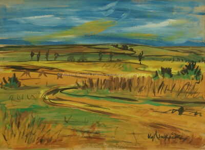  / Barevná pole / Vojtěch  Sedláček