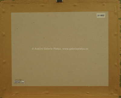  / Barevná pole / Vojtěch  Sedláček