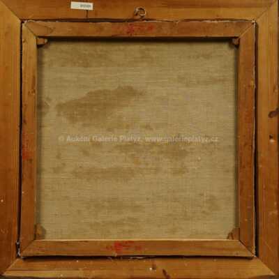  / V krojích / Ján Hála