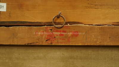  / V krojích / Ján Hála